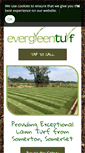 Mobile Screenshot of evergreen-turf.co.uk